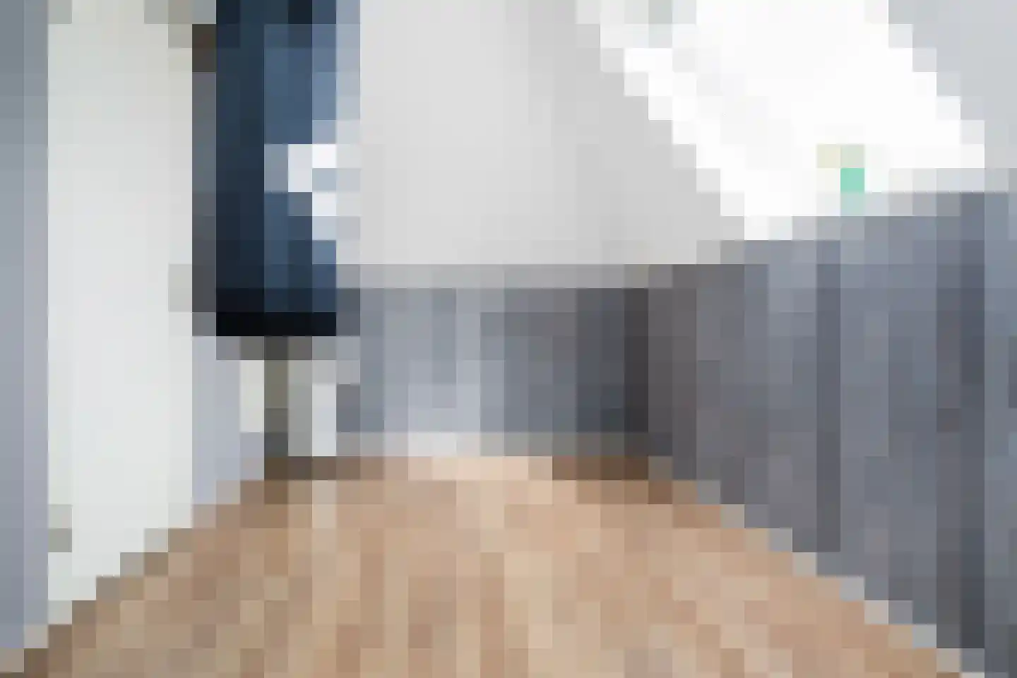 Monniksrob 12 Heerhugowaard thumbnail 38