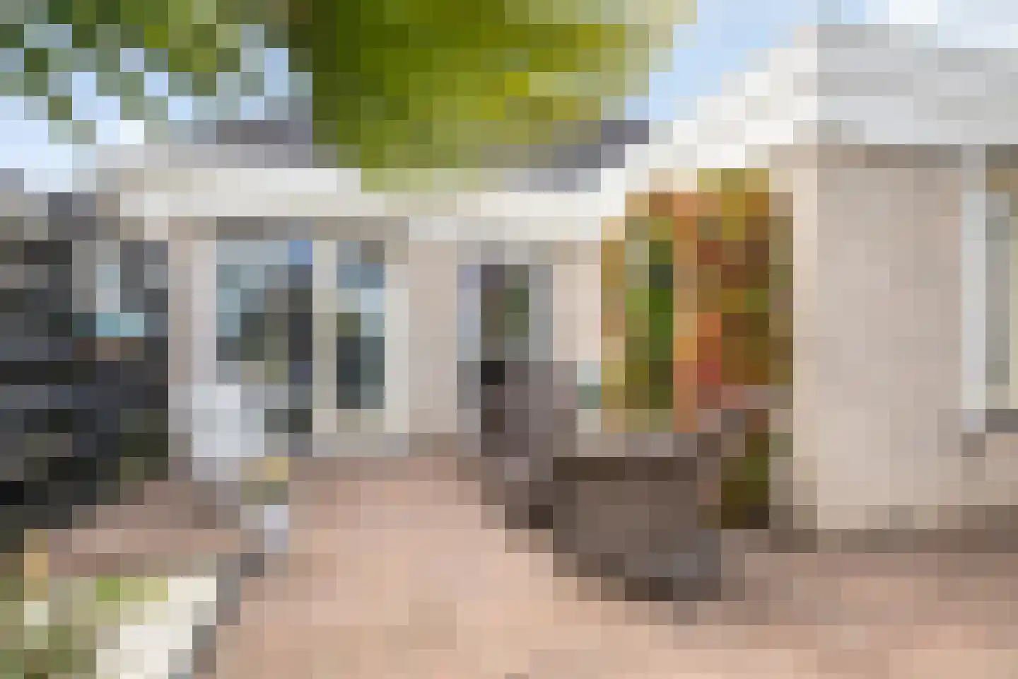 Monniksrob 12 Heerhugowaard thumbnail 43