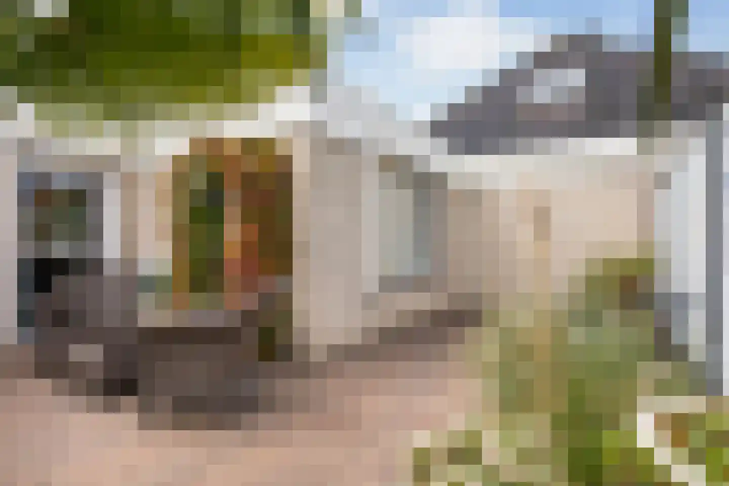 Monniksrob 12 Heerhugowaard thumbnail 45