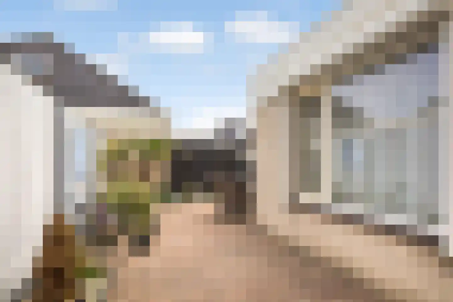Monniksrob 12 Heerhugowaard thumbnail 46