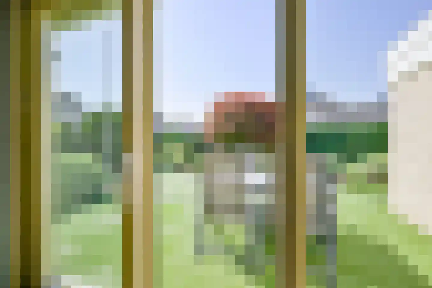 Monniksrob 42 Heerhugowaard thumbnail 10