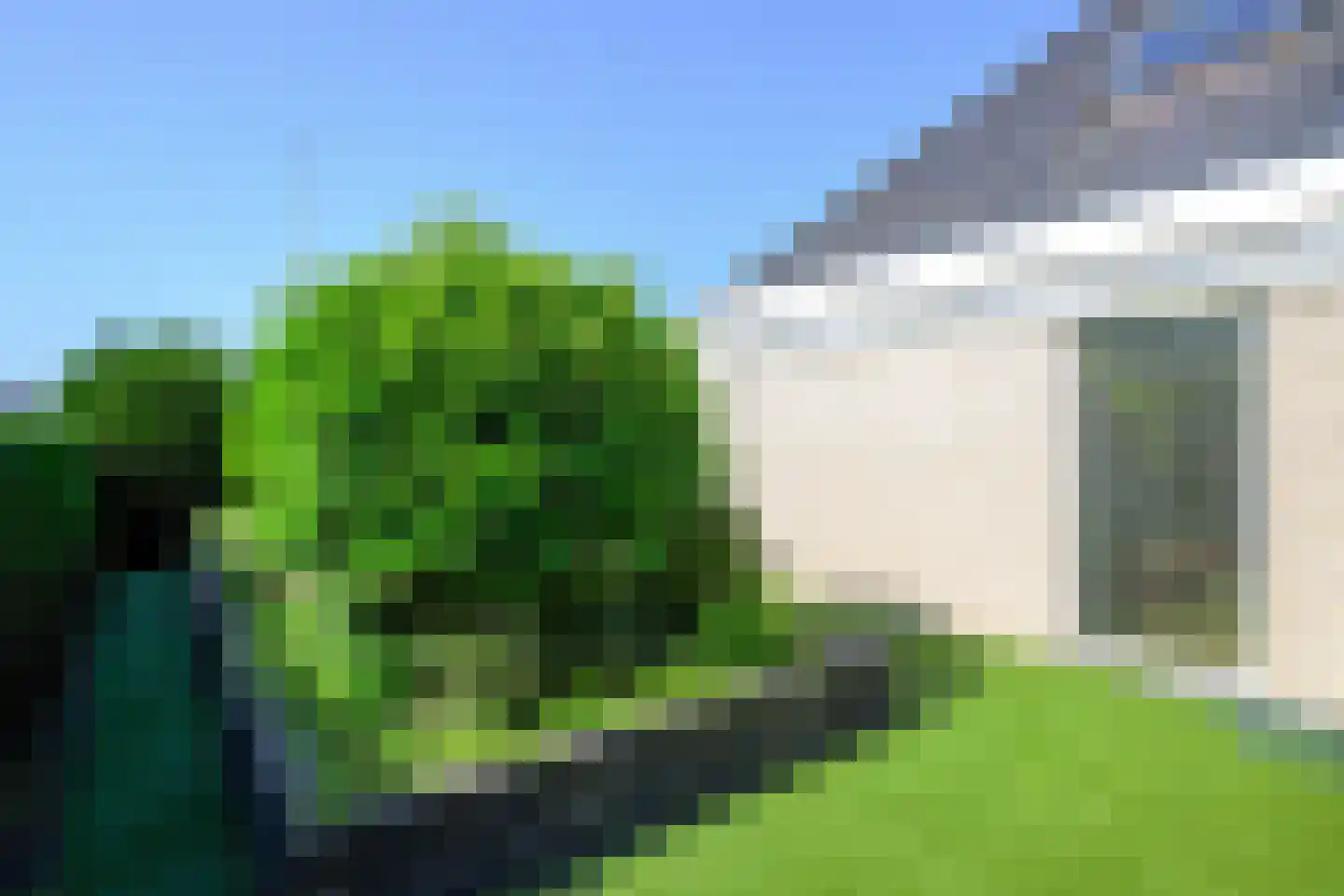 Monniksrob 42 Heerhugowaard thumbnail 11