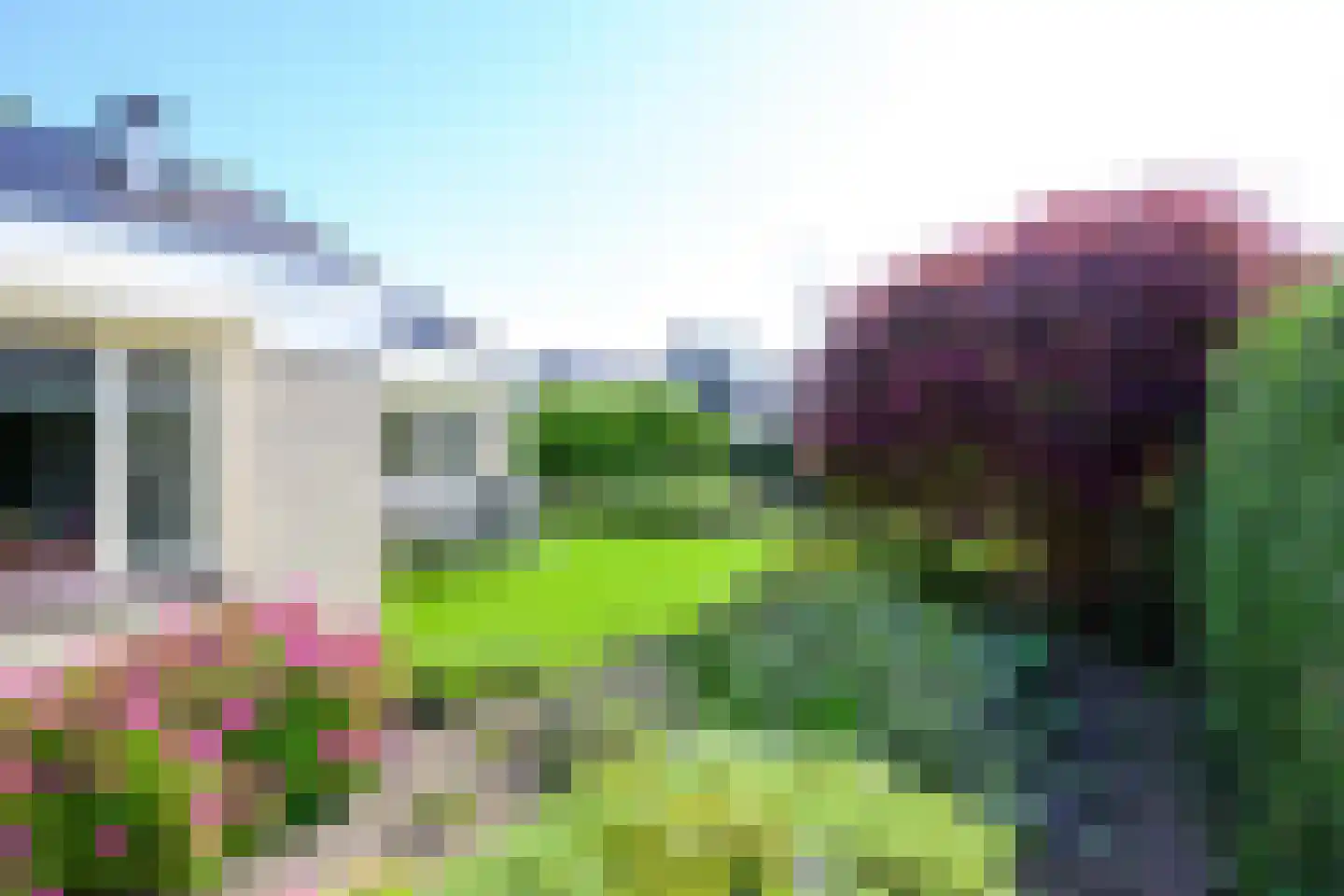 Monniksrob 42 Heerhugowaard thumbnail 14