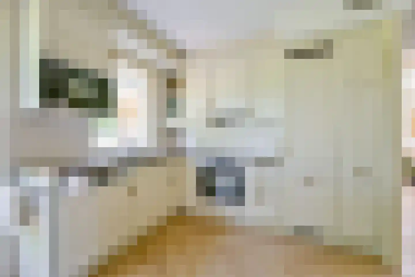 Monniksrob 42 Heerhugowaard thumbnail 19