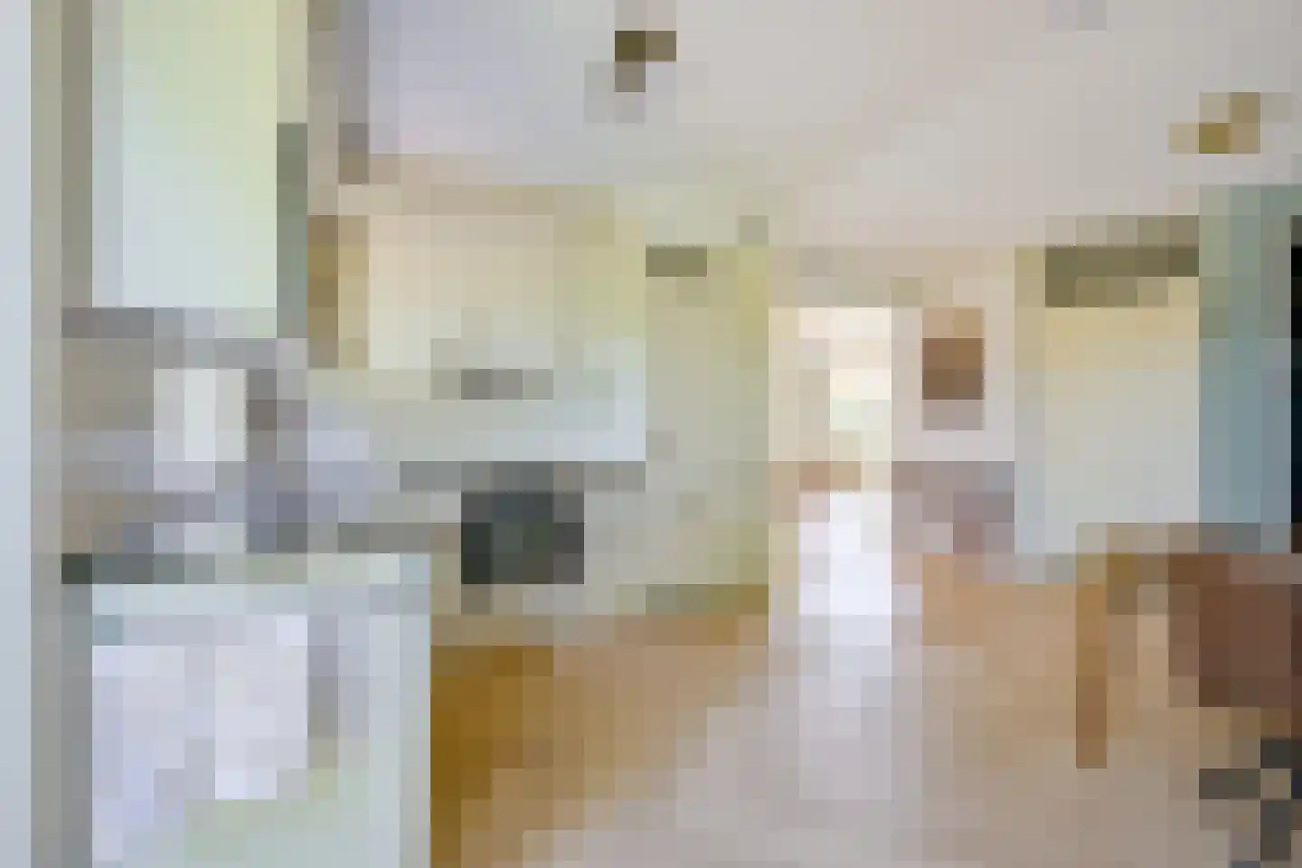 Monniksrob 42 Heerhugowaard thumbnail 20