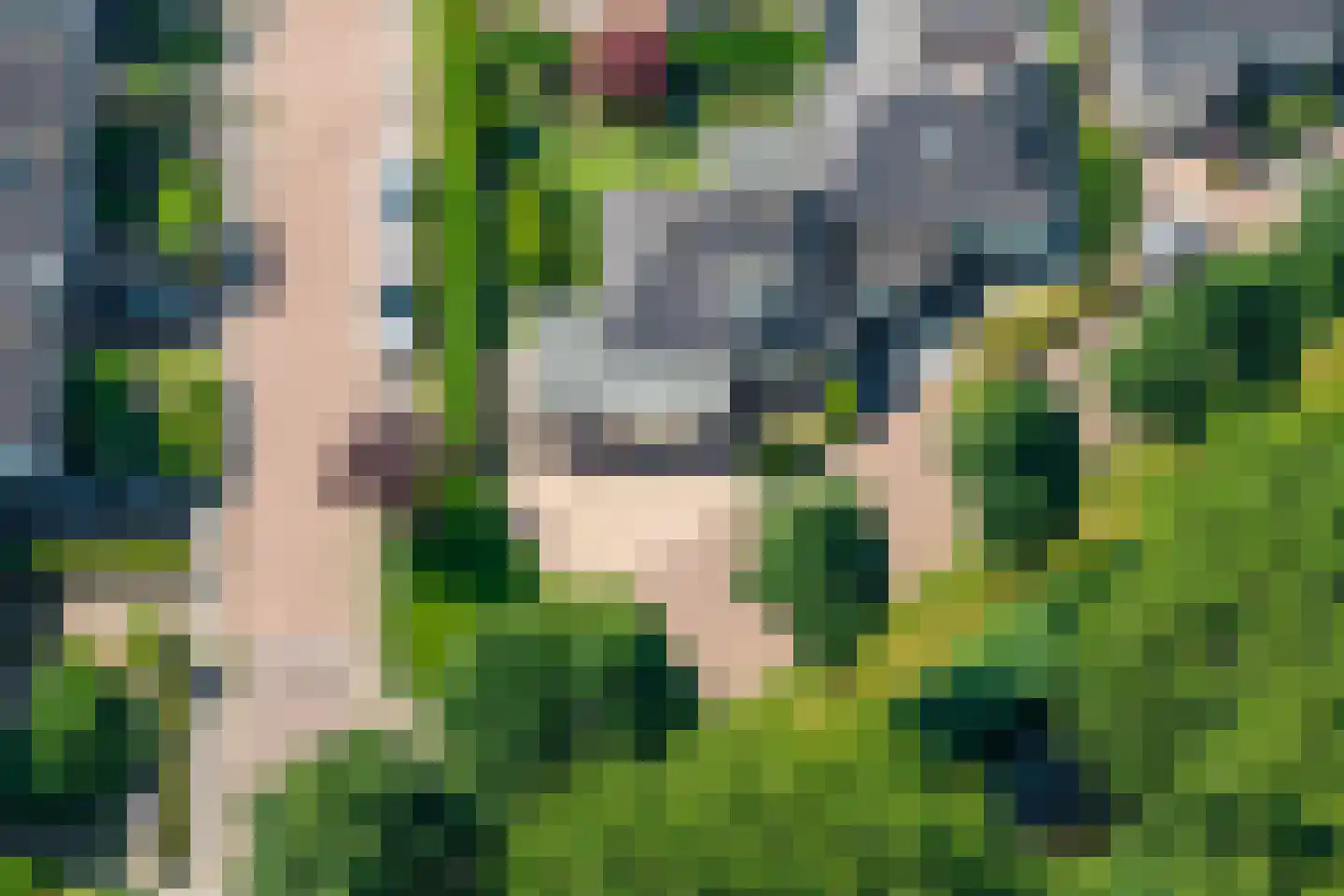 Monniksrob 42 Heerhugowaard thumbnail 41