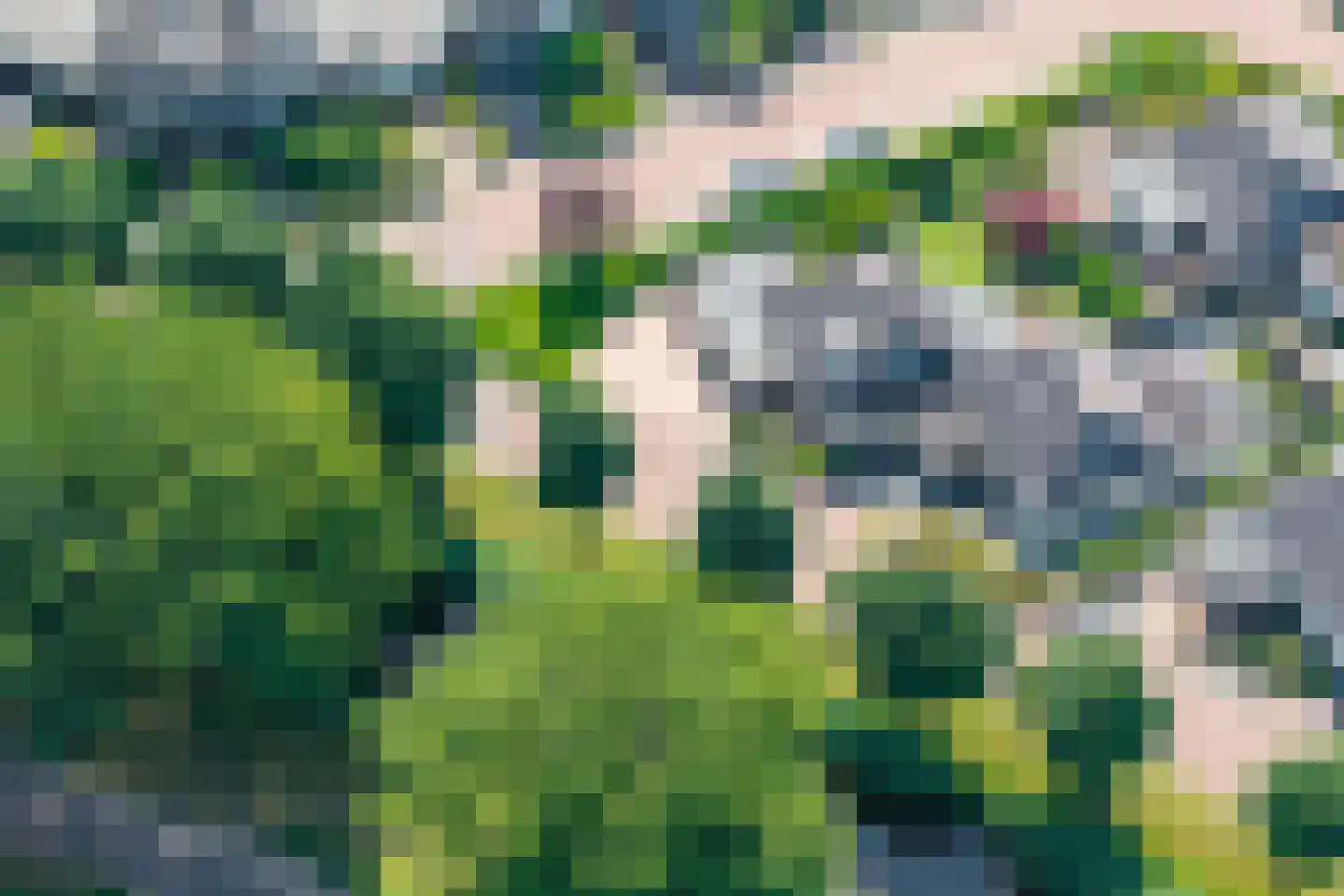 Monniksrob 42 Heerhugowaard thumbnail 42