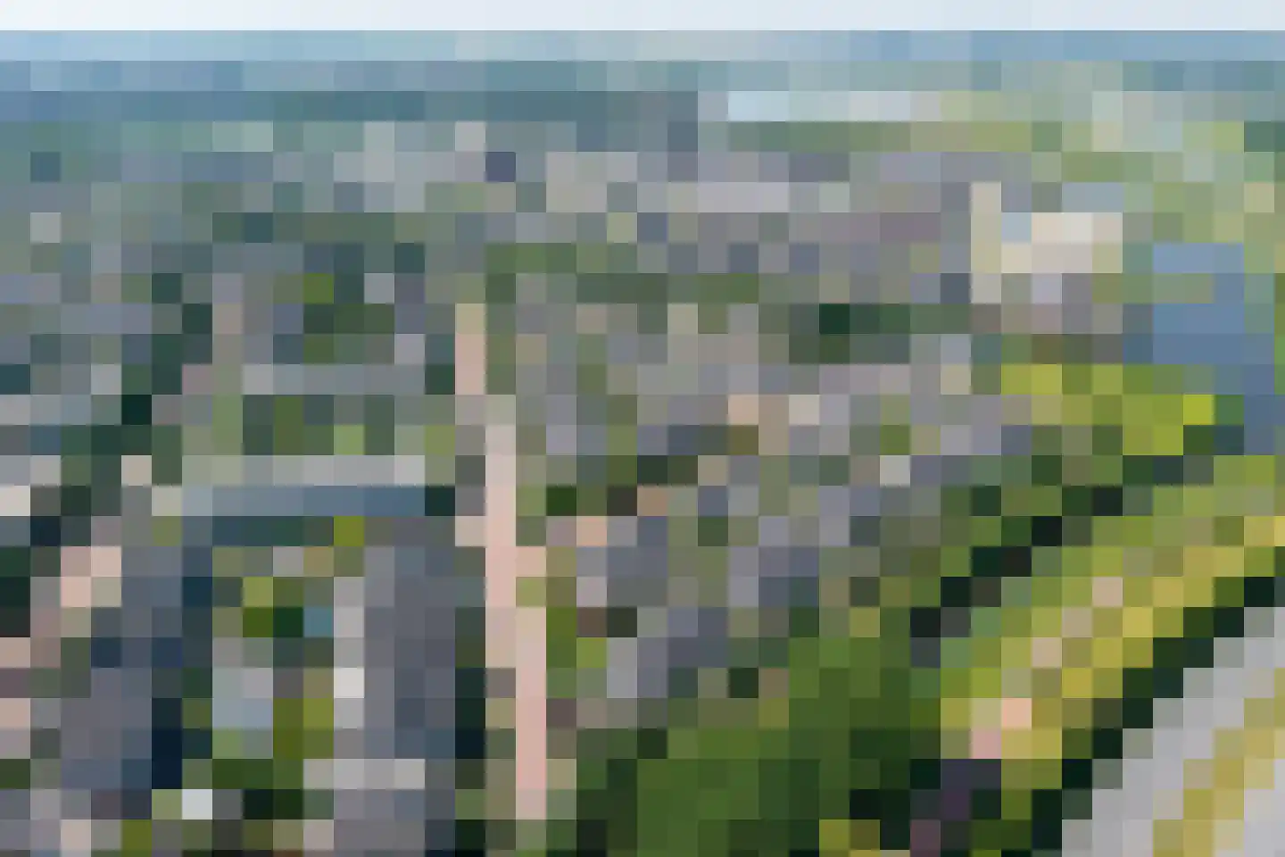 Monniksrob 42 Heerhugowaard thumbnail 43