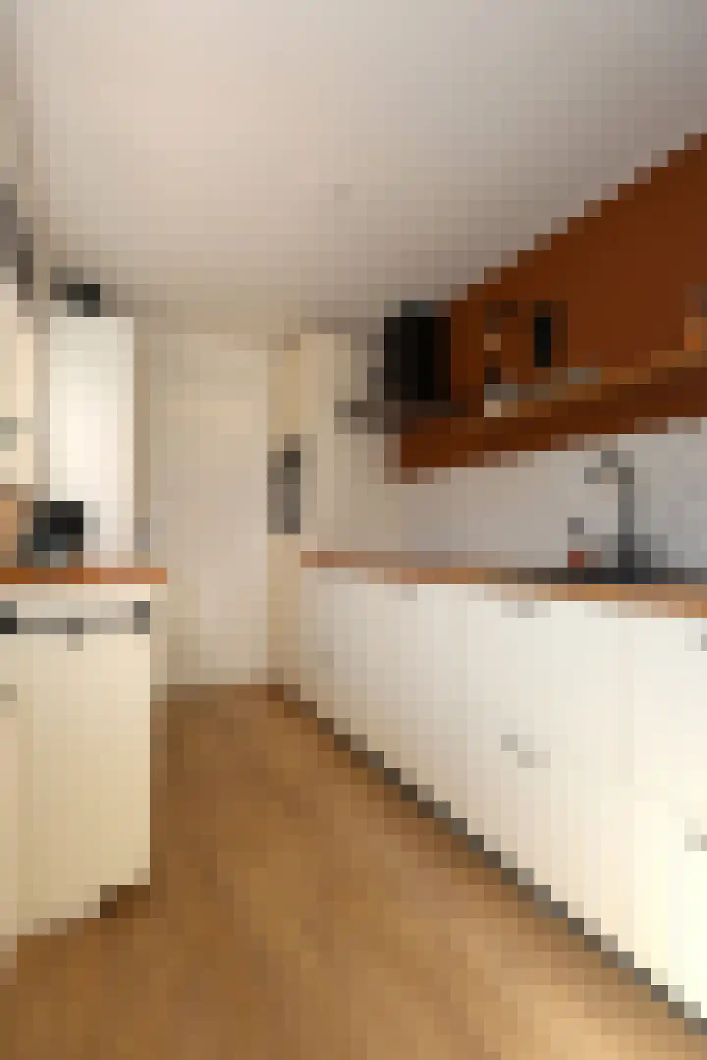 Monnikstraat 13 Sneek thumbnail 10