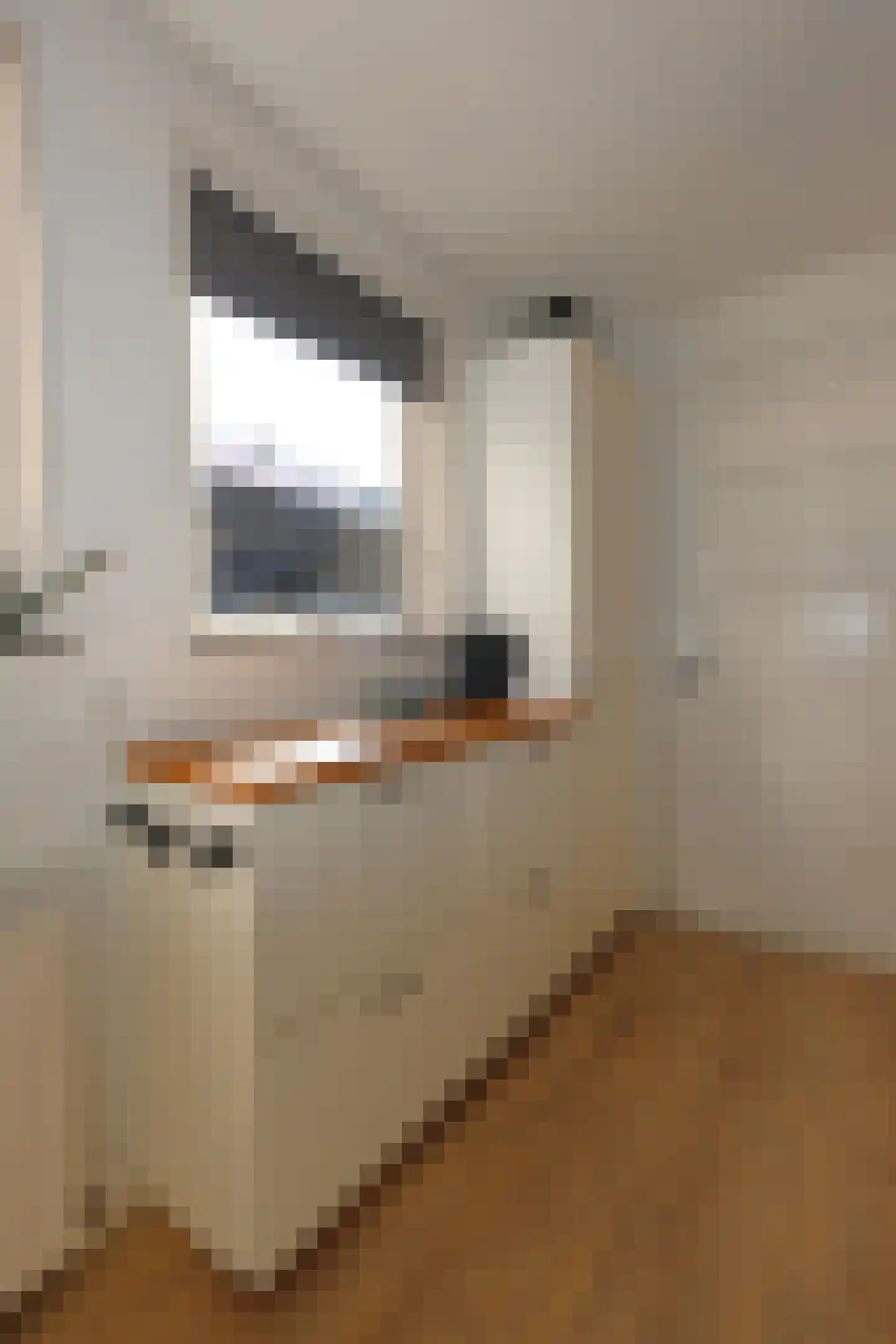 Monnikstraat 13 Sneek thumbnail 12