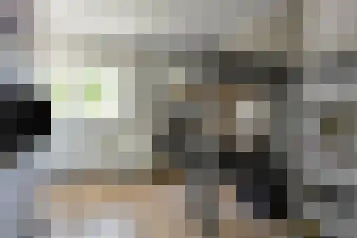 Monnikstraat 40 Sneek thumbnail 18