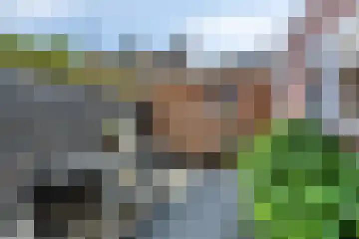 Monnikstraat 40 Sneek thumbnail 22