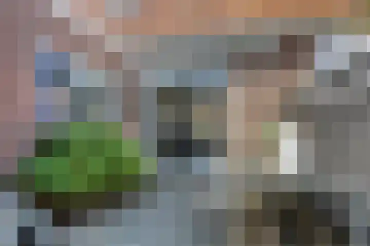 Monnikstraat 40 Sneek thumbnail 24