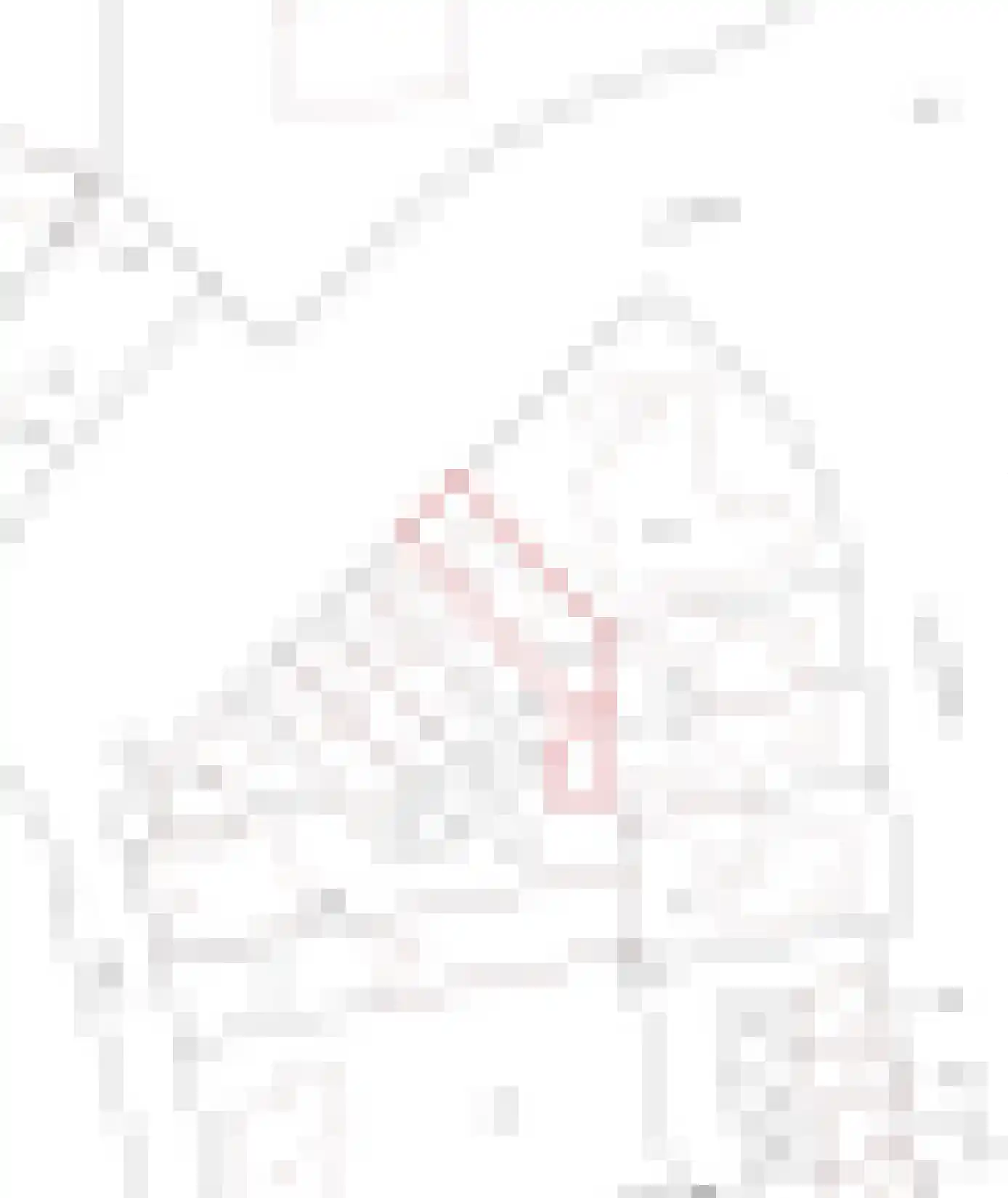 Monnikstraat 56 Oldenzaal thumbnail 46