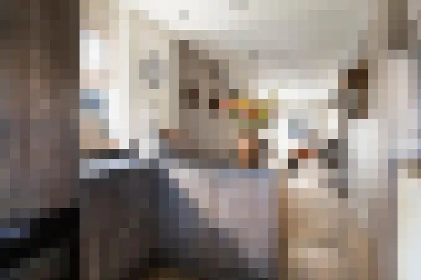 Monnikstraat 56 Oldenzaal thumbnail 9