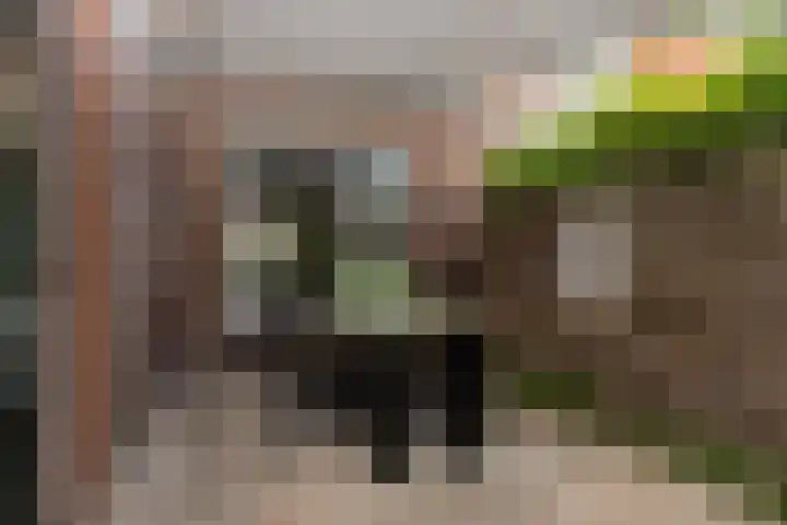 Monnikstraat 8 Sneek thumbnail 30