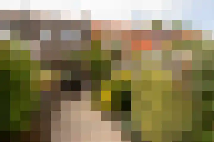 Monnikstraat 8 Sneek thumbnail 31