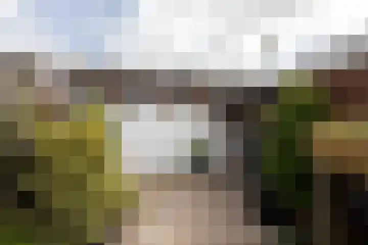 Monnikstraat 8 Sneek thumbnail 33
