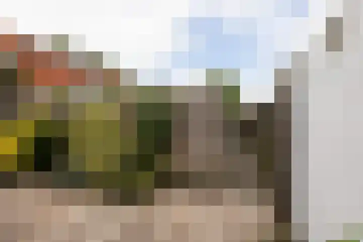 Monnikstraat 8 Sneek thumbnail 36