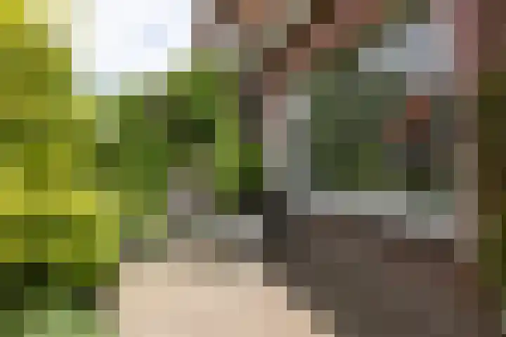 Monnikstraat 8 Sneek thumbnail 37