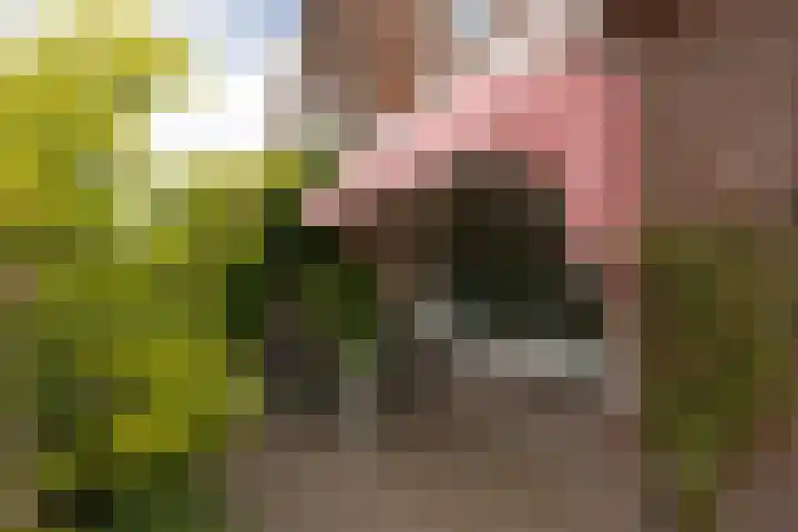 Monnikstraat 8 Sneek thumbnail 38