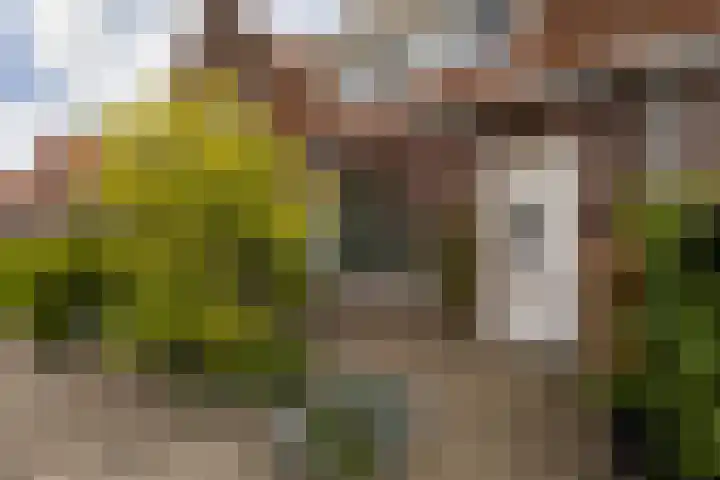 Monnikstraat 8 Sneek thumbnail 39