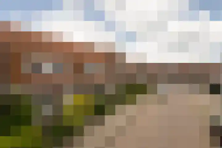 Monnikstraat 8 Sneek thumbnail 40