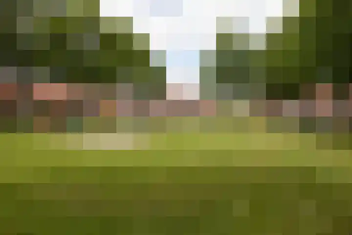 Monnikstraat 8 Sneek thumbnail 43