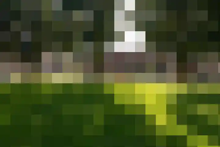 Monnikstraat 9 Sneek thumbnail 34