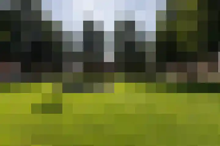 Monnikstraat 9 Sneek thumbnail 35