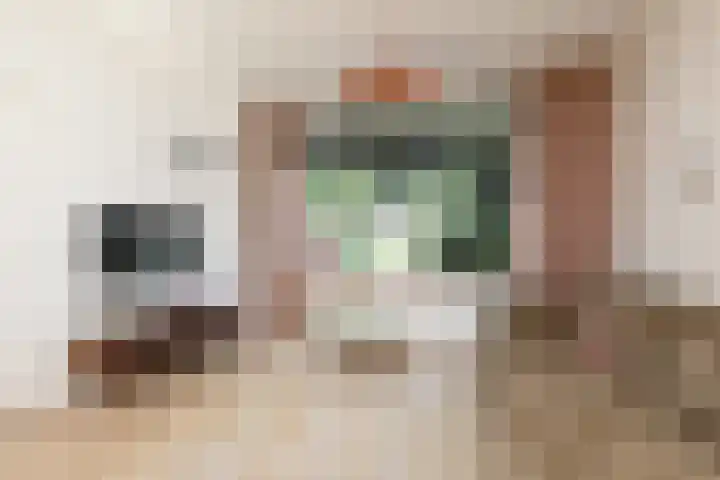 Monnikstraat 9 Sneek thumbnail 4