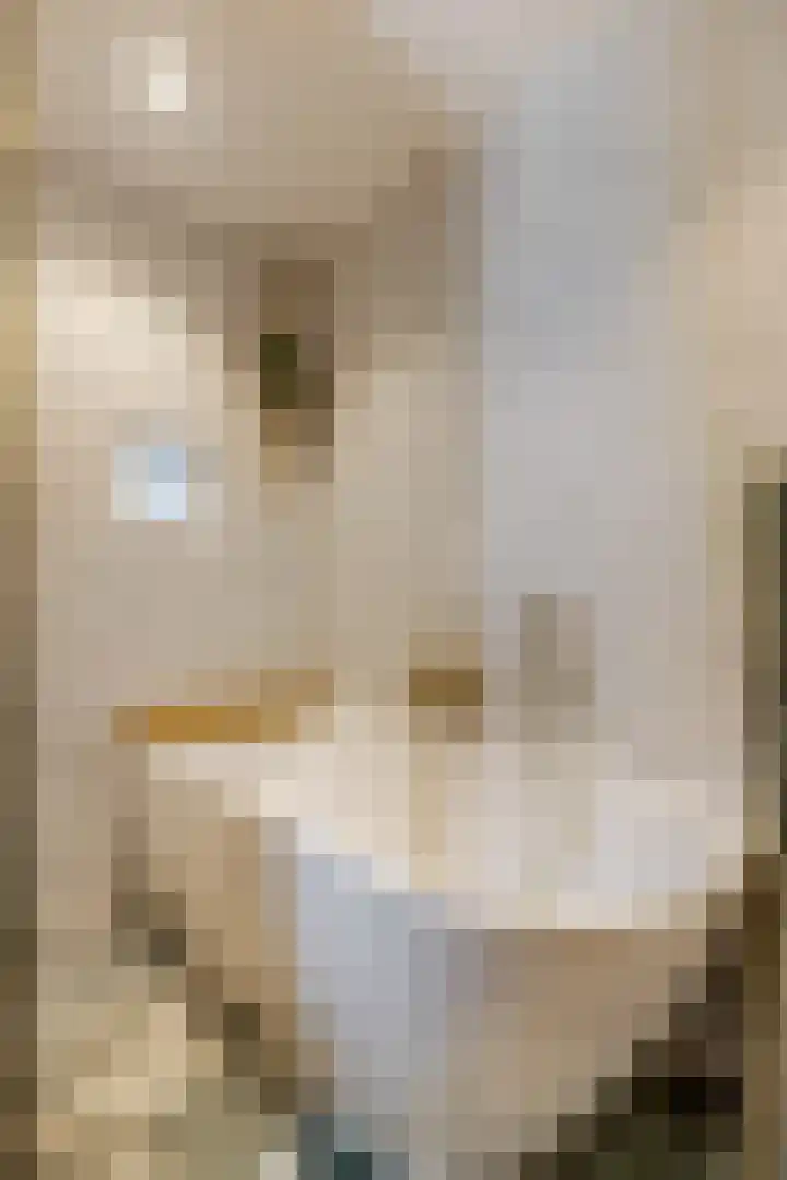 Monroedreef 30 Ede thumbnail 22