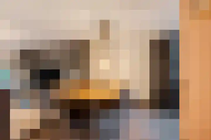 Monroedreef 30 Ede thumbnail 7