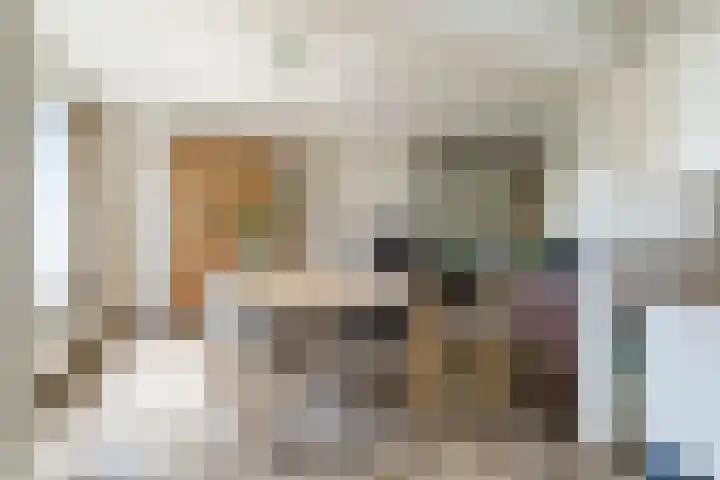 Monseigneur Bekkersstraat 11 Berkel-Enschot thumbnail 15
