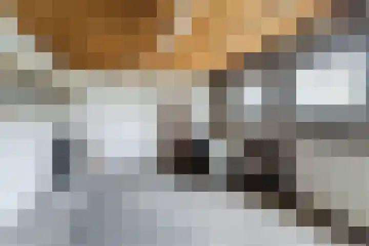 Monseigneur Bekkersstraat 11 Berkel-Enschot thumbnail 36