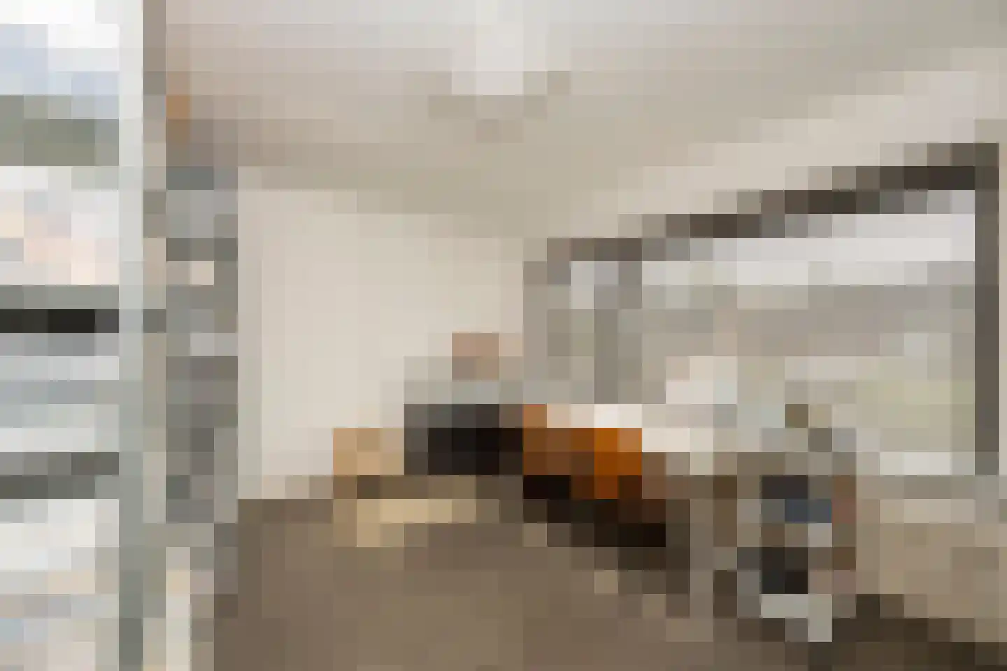 Monseigneur Bekkersstraat 13 Berkel-Enschot thumbnail 17