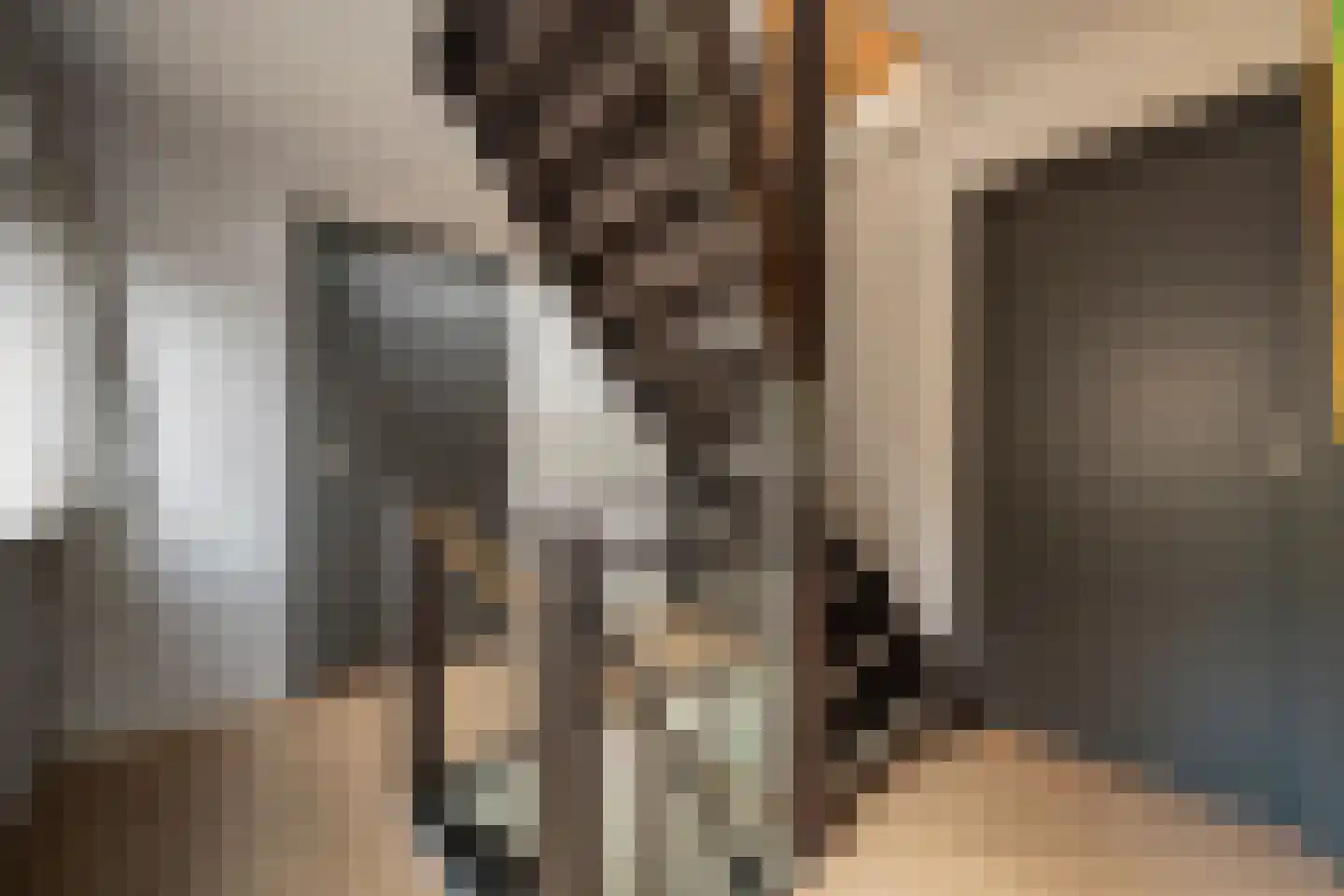 Monseigneur Bekkersstraat 13 Berkel-Enschot thumbnail 22
