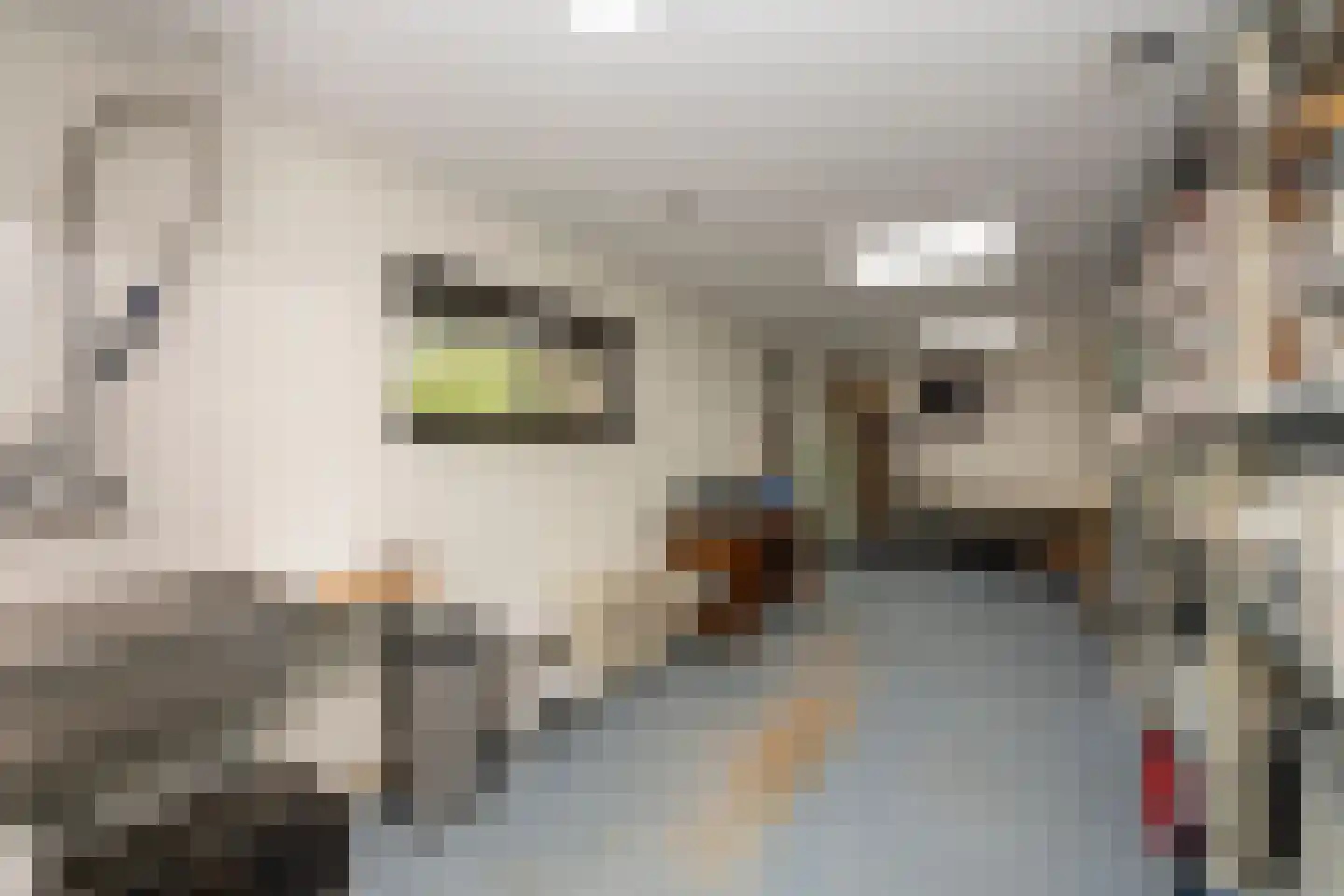 Monseigneur Bekkersstraat 13 Berkel-Enschot thumbnail 27