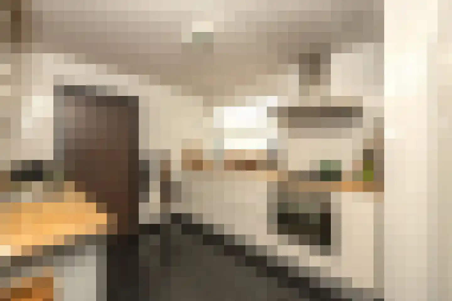 Monseigneur Bekkersstraat 13 Berkel-Enschot thumbnail 4