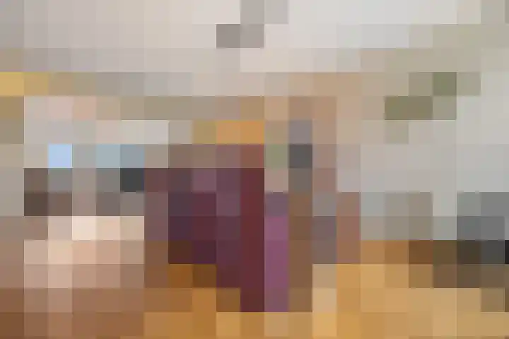 Monseigneur Bekkersstraat 3 Arnhem thumbnail 35