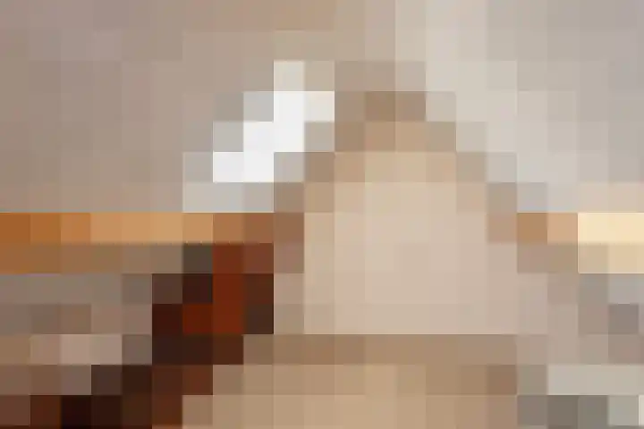 Monseigneur Berkvensstraat 47 Liessel thumbnail 28