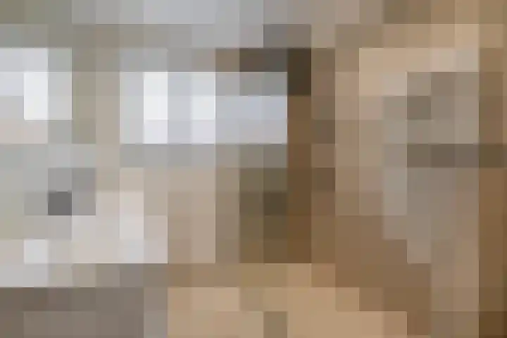Monseigneur Boermansstraat 11 Venlo thumbnail 20