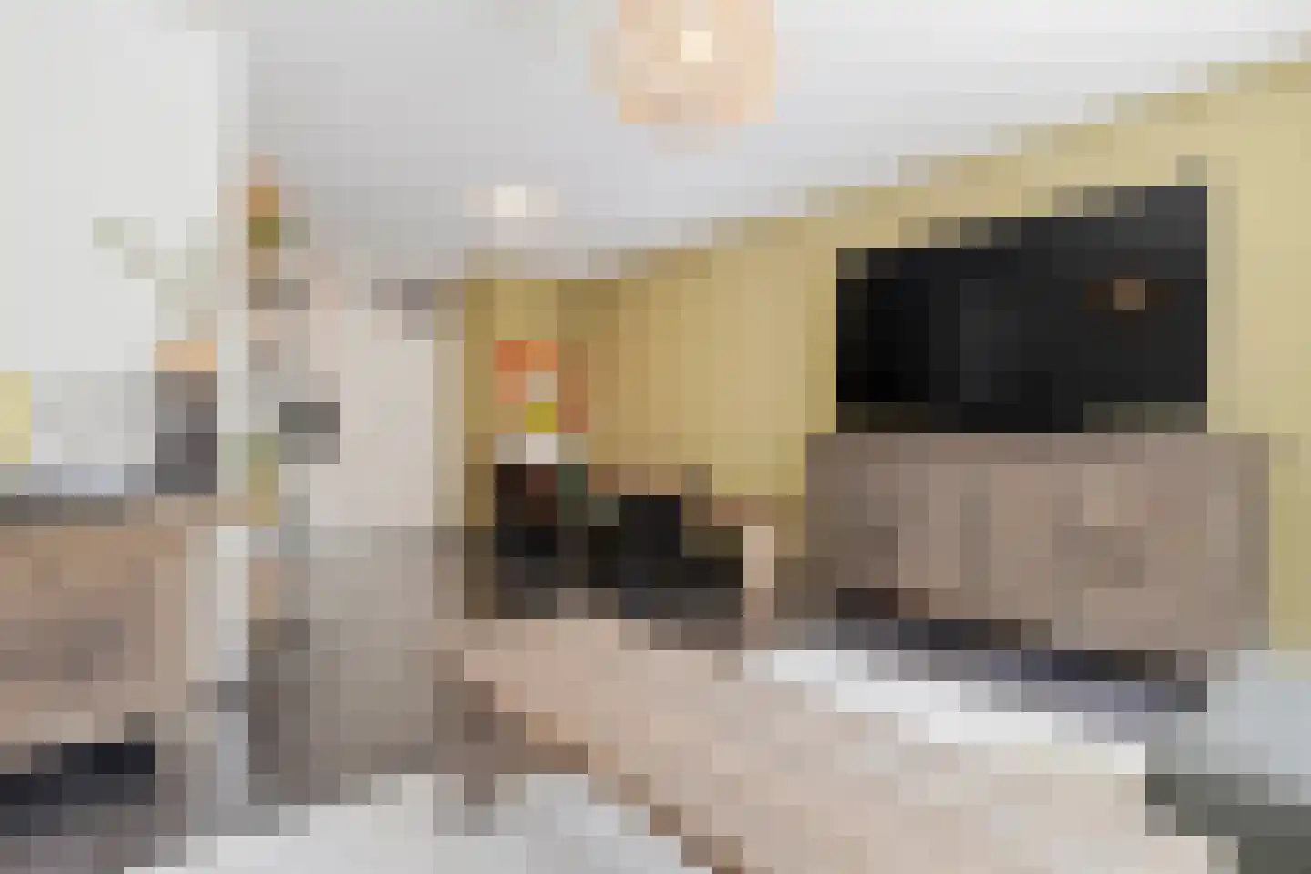 Monseigneur Boermansstraat 2 Venlo thumbnail 18
