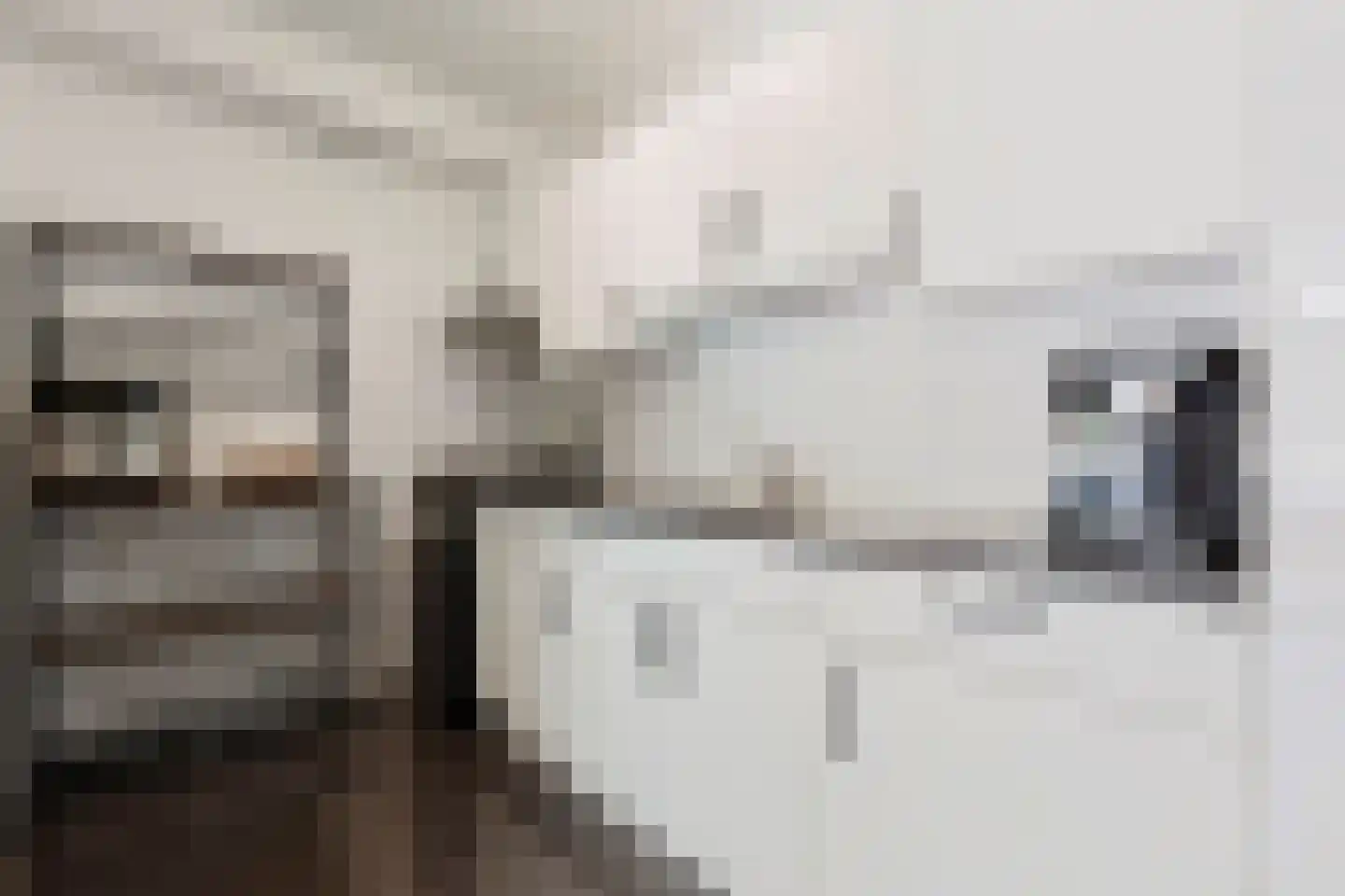 Monseigneur Boermansstraat 2 Venlo thumbnail 20