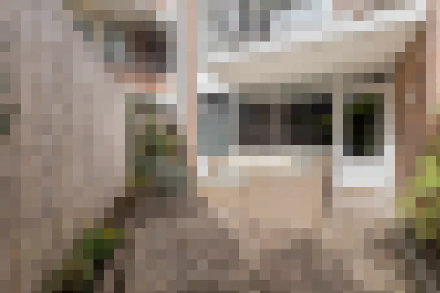 Monseigneur Boermansstraat 2 Venlo thumbnail 29