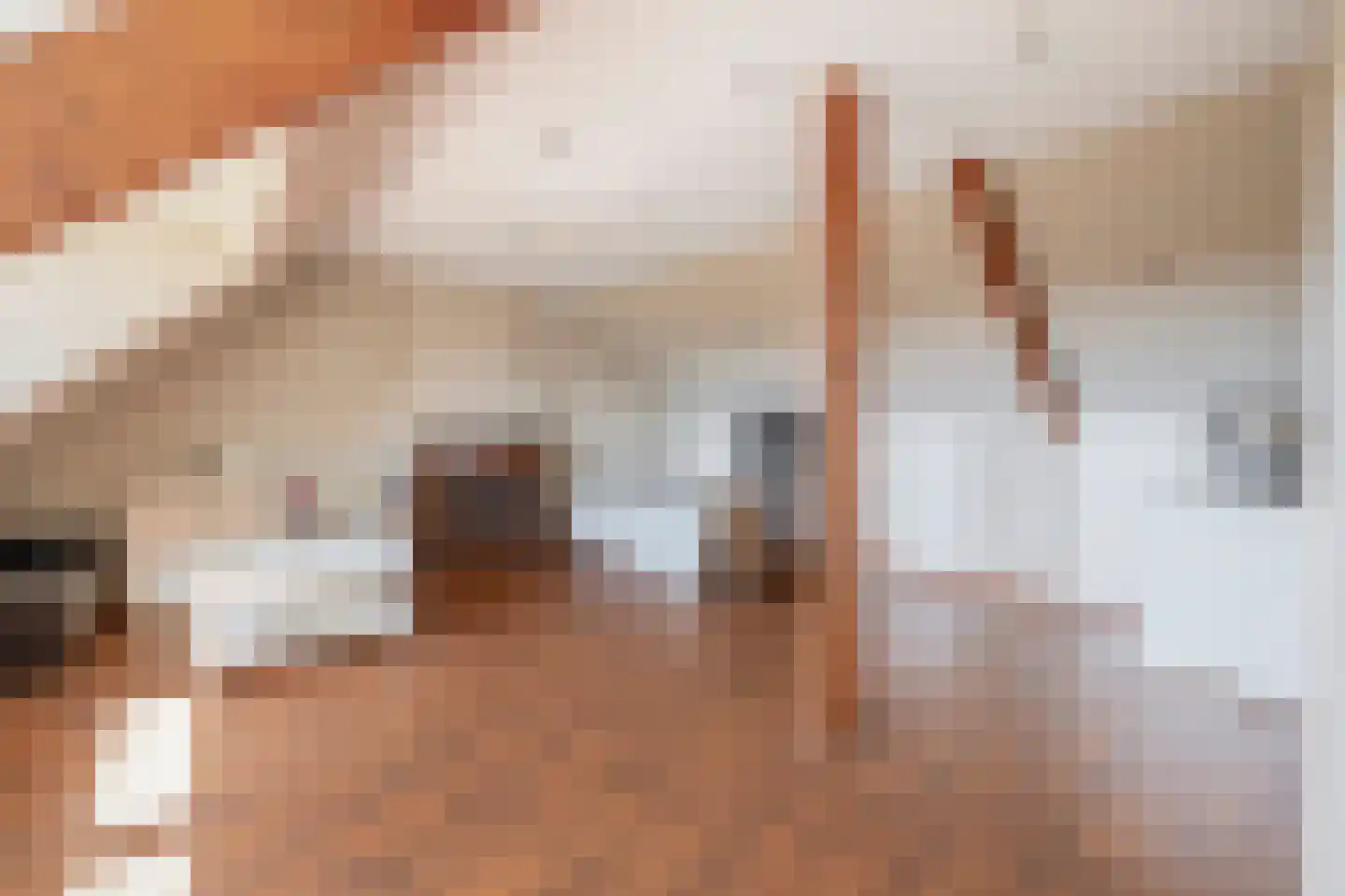 Monseigneur Boermansstraat 46 Venlo thumbnail 32