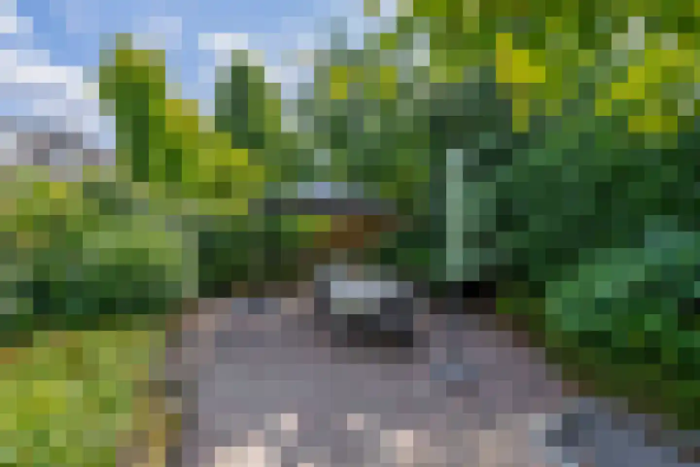 Monseigneur Boermansstraat 46 Venlo thumbnail 39