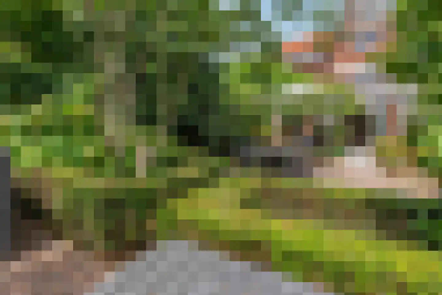 Monseigneur Boermansstraat 46 Venlo thumbnail 45