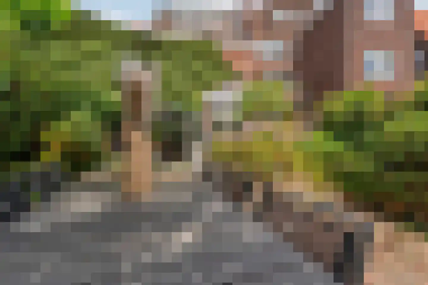Monseigneur Boermansstraat 46 Venlo thumbnail 46