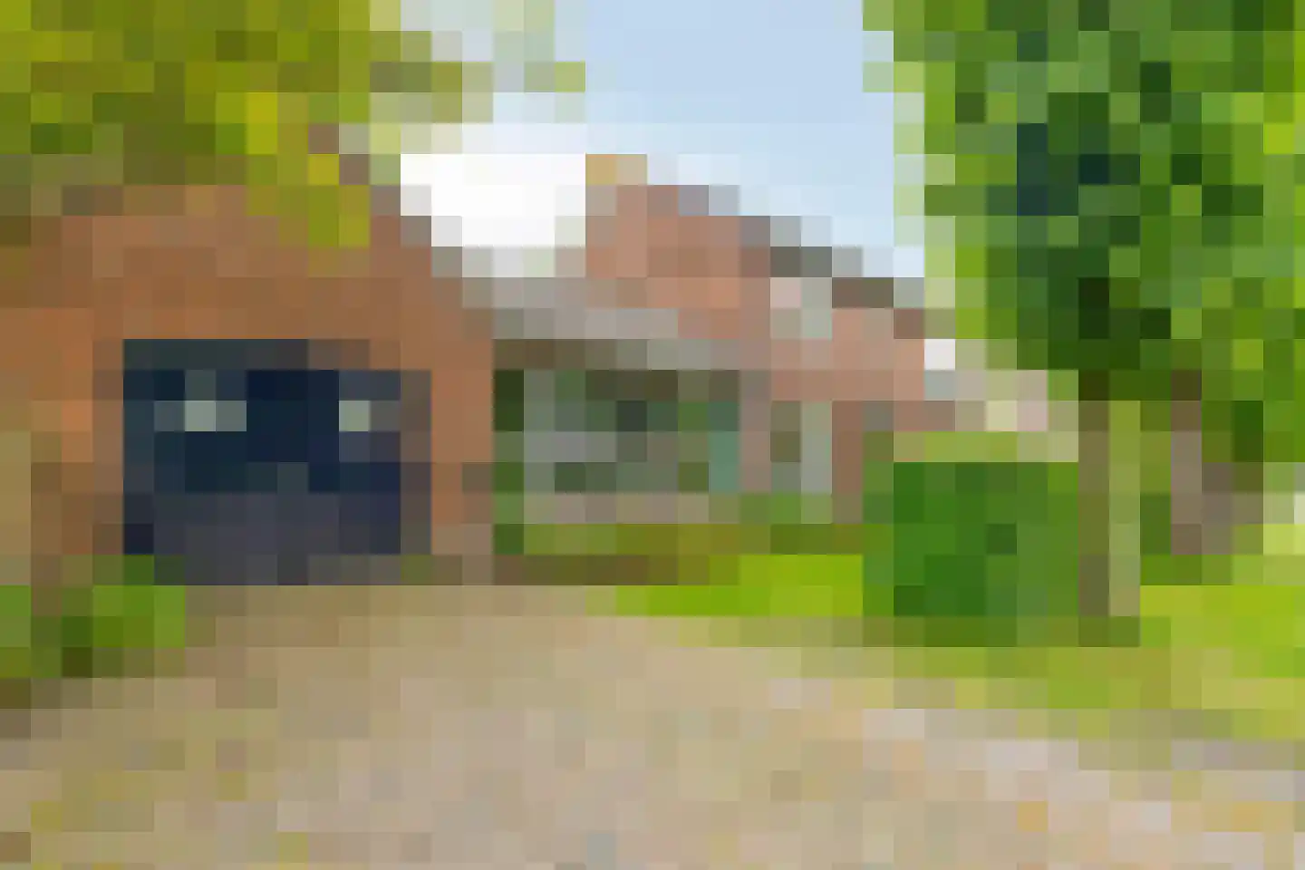 Monseigneur Borretstraat 11 in Reek